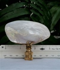 Mussel Shell Lamp Finial