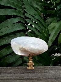 Mussel Shell Lamp Finial