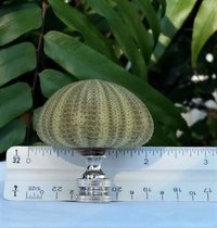 Green Lamp Finial, Sea Urchin