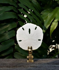 Sand Dollar Lamp Finial, Various Sizes