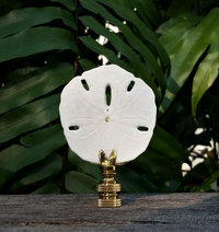 Sand Dollar Lamp Finial, Various Sizes