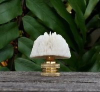 Off White Coral Lamp Finial