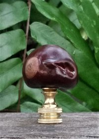 Brown Lamp Finial, Buckeye