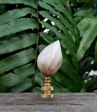 Mussel Shell Lamp Finial