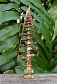 Sea Shell Lamp Finial, Large Brown Center Cut