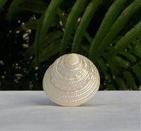 Sea Shell Lamp Finial, Pearl White