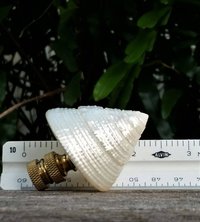 Sea Shell Lamp Finial, Pearl White