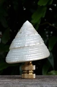 Sea Shell Lamp Finial, Pearl White