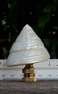 Sea Shell Lamp Finial, Pearl White