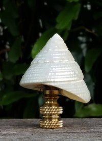 Sea Shell Lamp Finial, Pearl White