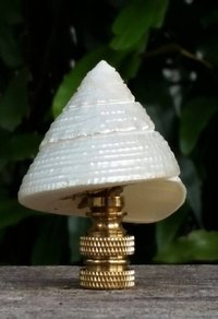 Sea Shell Lamp Finial, Pearl White