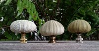 Green Lamp Finial, Sea Urchin