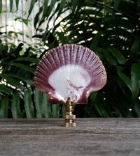 Lamp Finial, Large Sea Shell, Cordovan