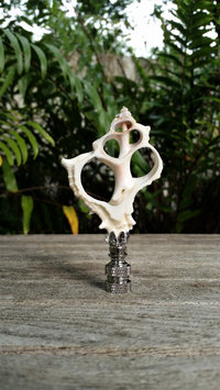 Sea Shell Lamp Finial, Off White