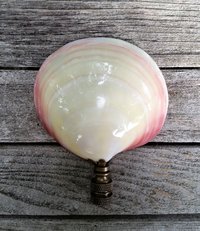 Large Sea Shell Lamp Finial, Pink Pearl