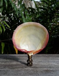 Large Sea Shell Lamp Finial, Pink Pearl