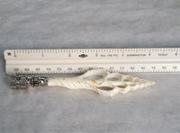 Sea Shell Lamp Finial, Tall Off White Spindle
