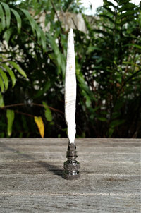 Sea Shell Lamp Finial, Tall Off White Spindle