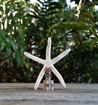 Lamp Finial, Starfish, Off White