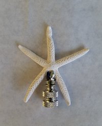 Lamp Finial, Starfish, Off White