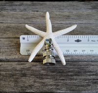 Lamp Finial, Starfish, Off White