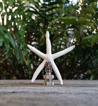 Lamp Finial, Starfish, Off White