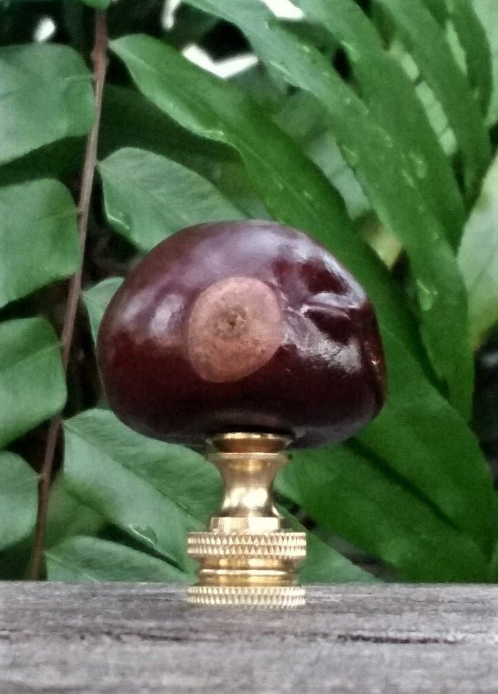 Brown Lamp Finial, Buckeye