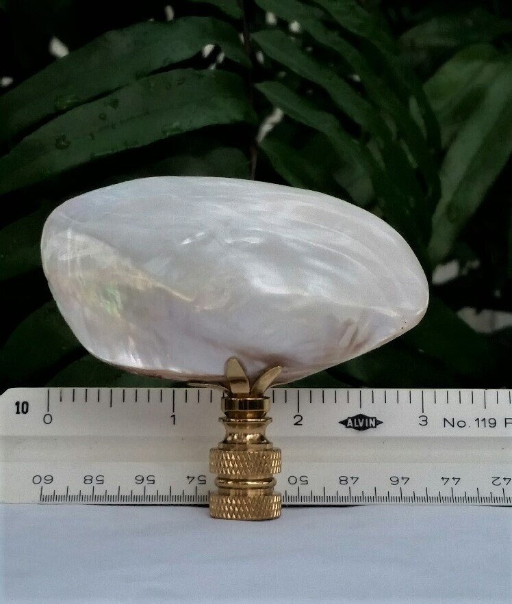 Mussel Shell Lamp Finial