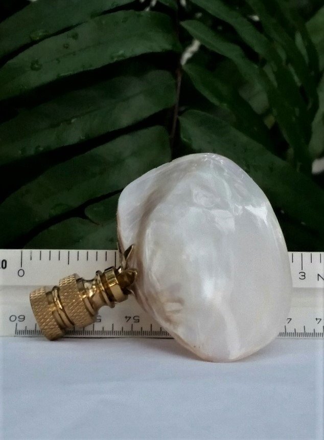 Mussel Shell Lamp Finial