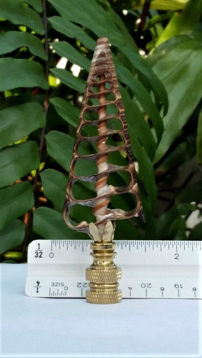 Sea Shell Lamp Finial, Large Brown Center Cut