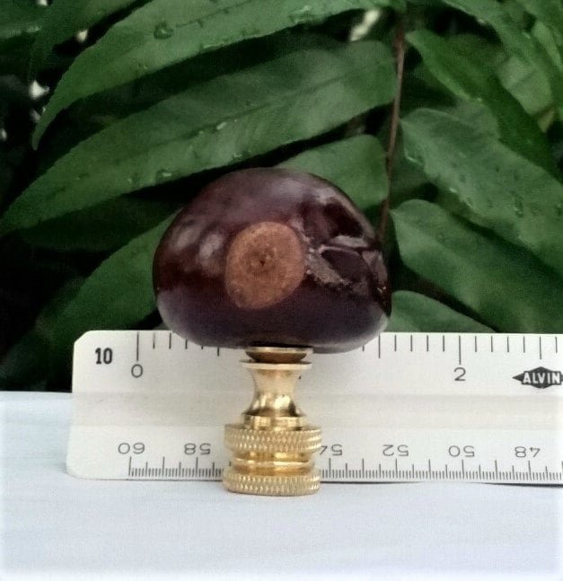 Brown Lamp Finial, Buckeye