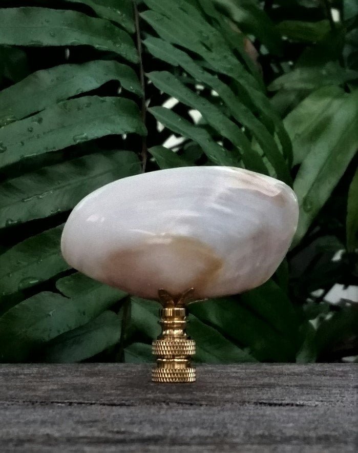 Mussel Shell Lamp Finial