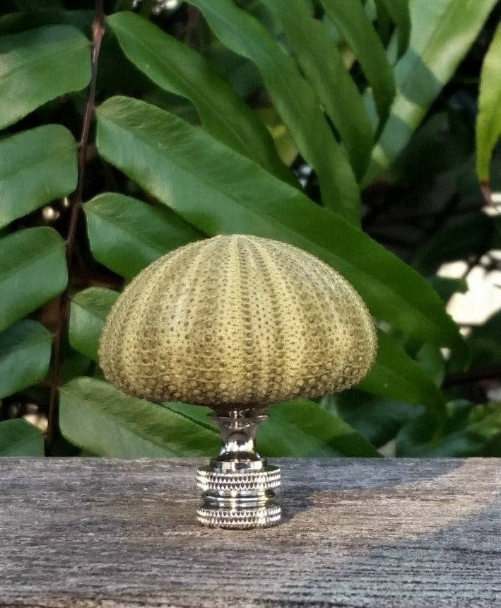 Green Lamp Finial, Sea Urchin