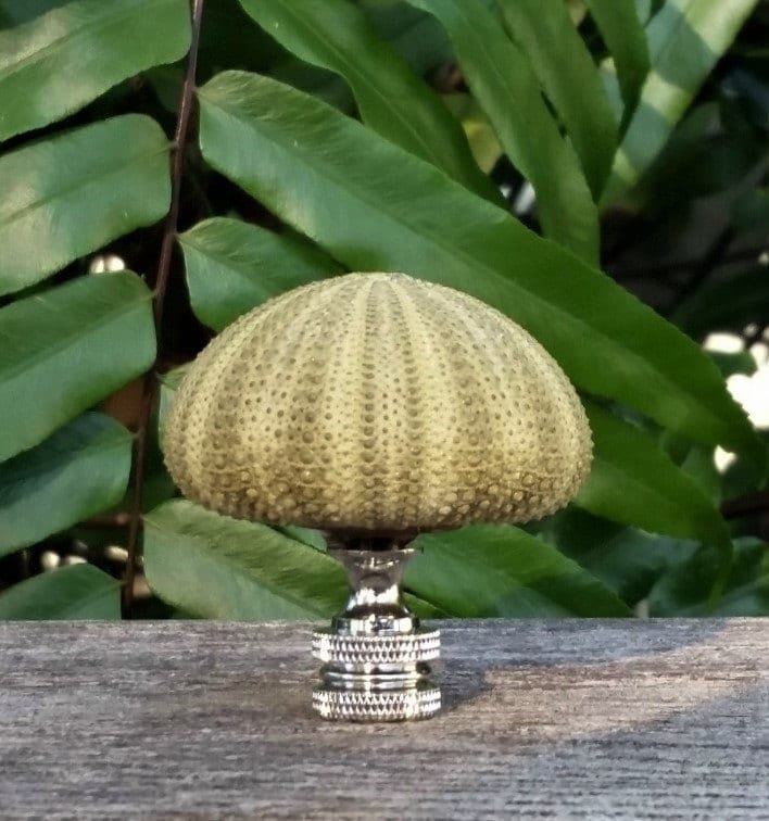 Green Lamp Finial, Sea Urchin