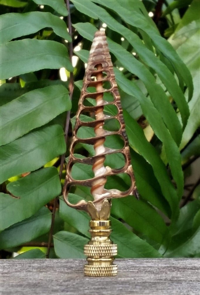 Sea Shell Lamp Finial, Large Brown Center Cut