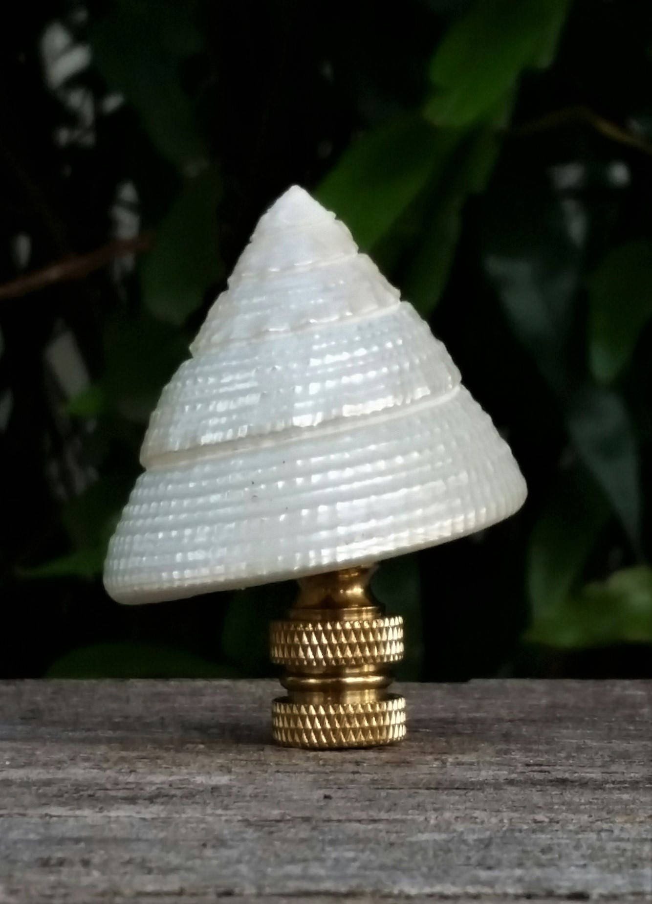 Sea Shell Lamp Finial, Pearl White