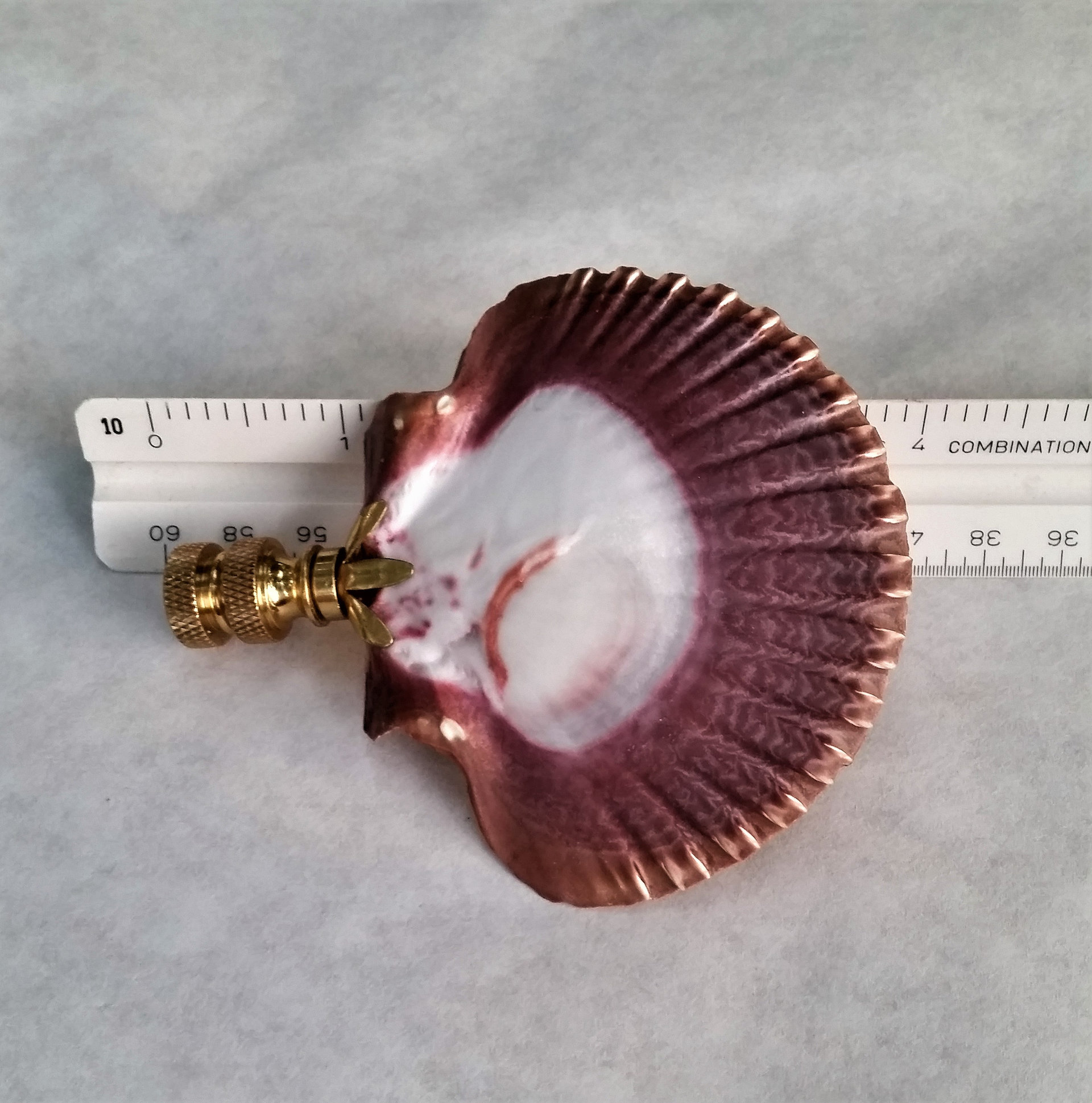 Lamp Finial, Large Sea Shell, Cordovan