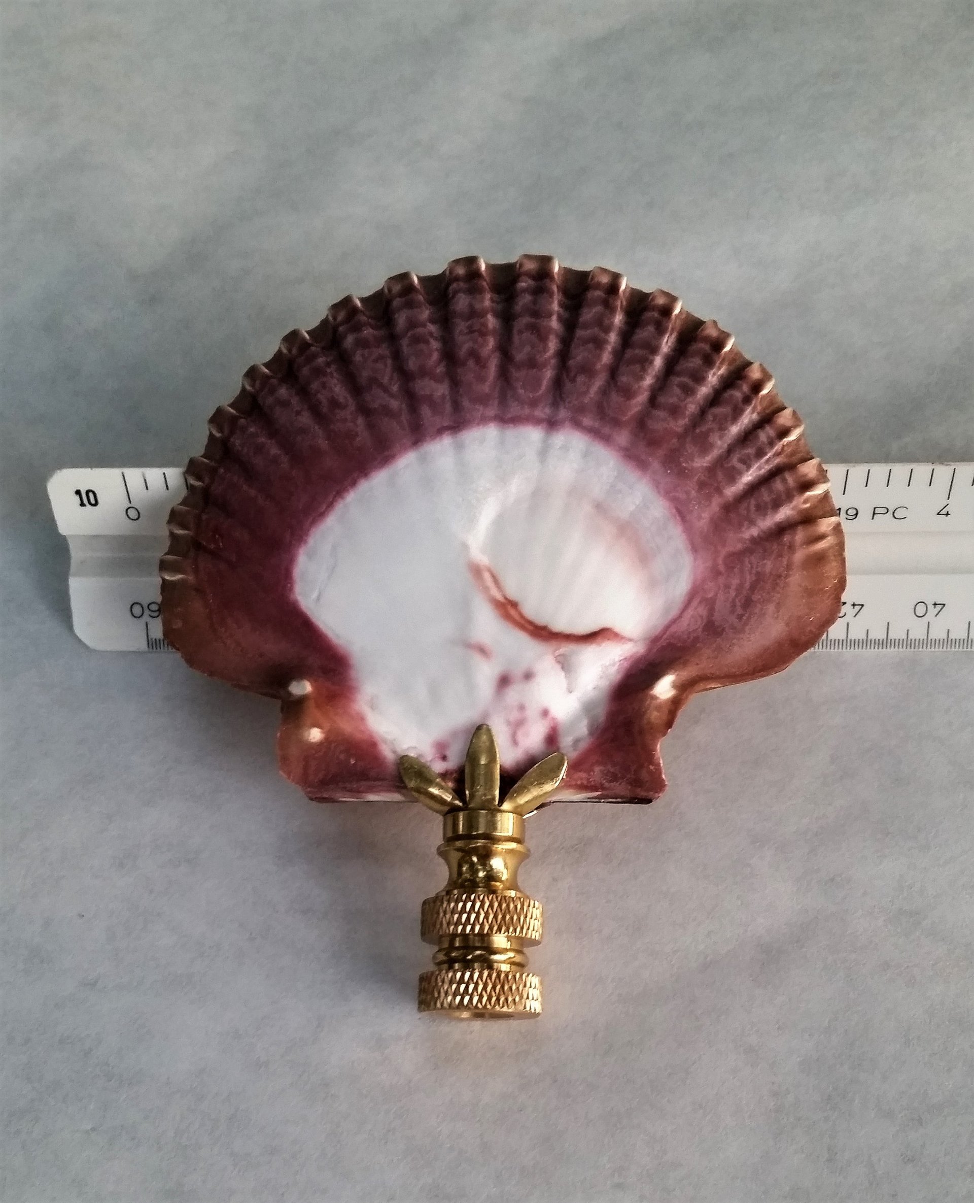 Lamp Finial, Large Sea Shell, Cordovan