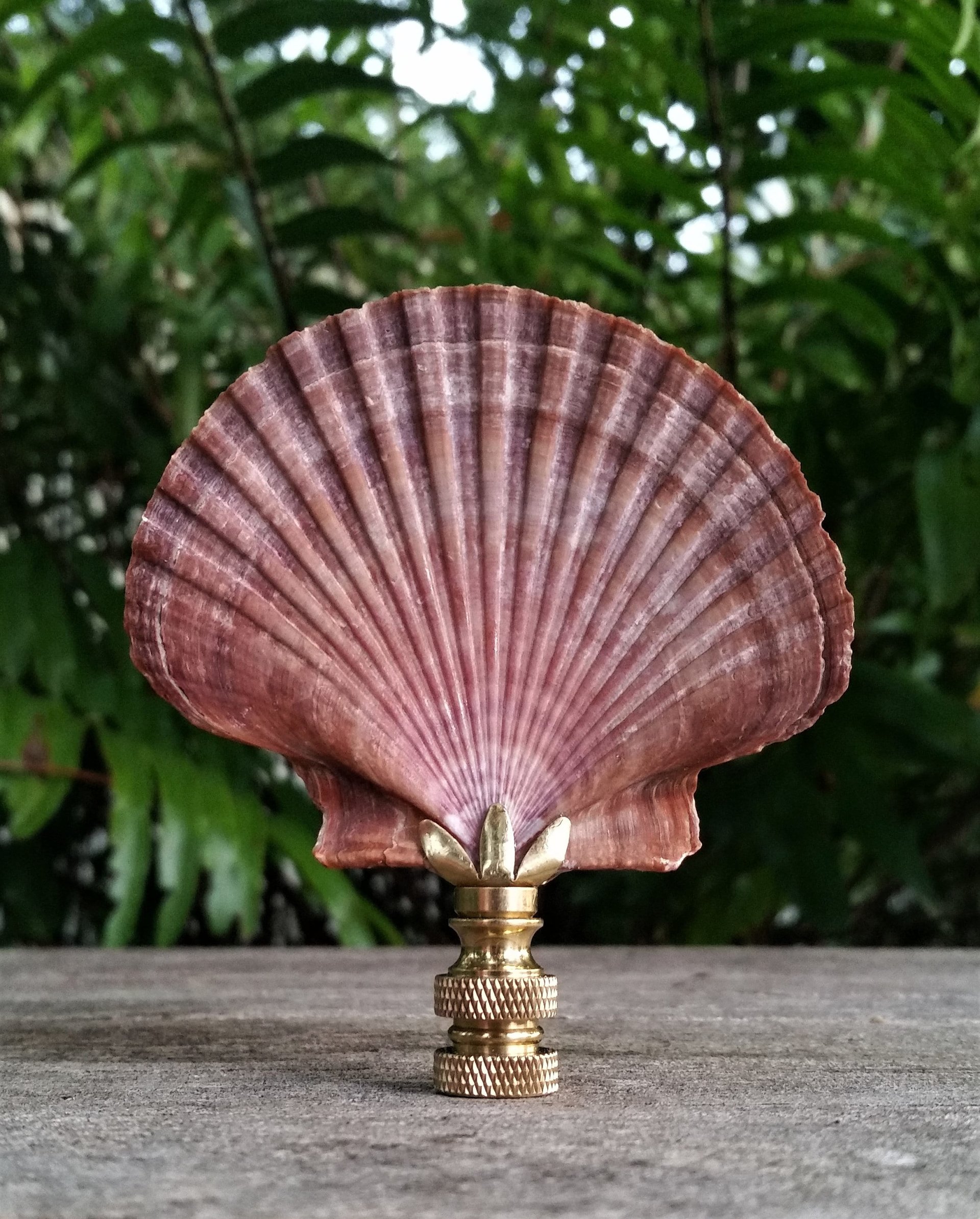 Lamp Finial, Large Sea Shell, Cordovan