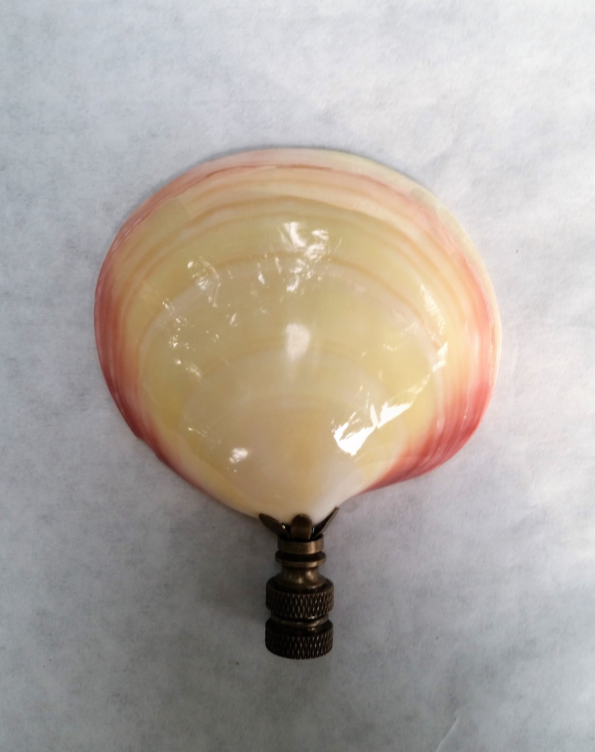 Large Sea Shell Lamp Finial, Pink Pearl