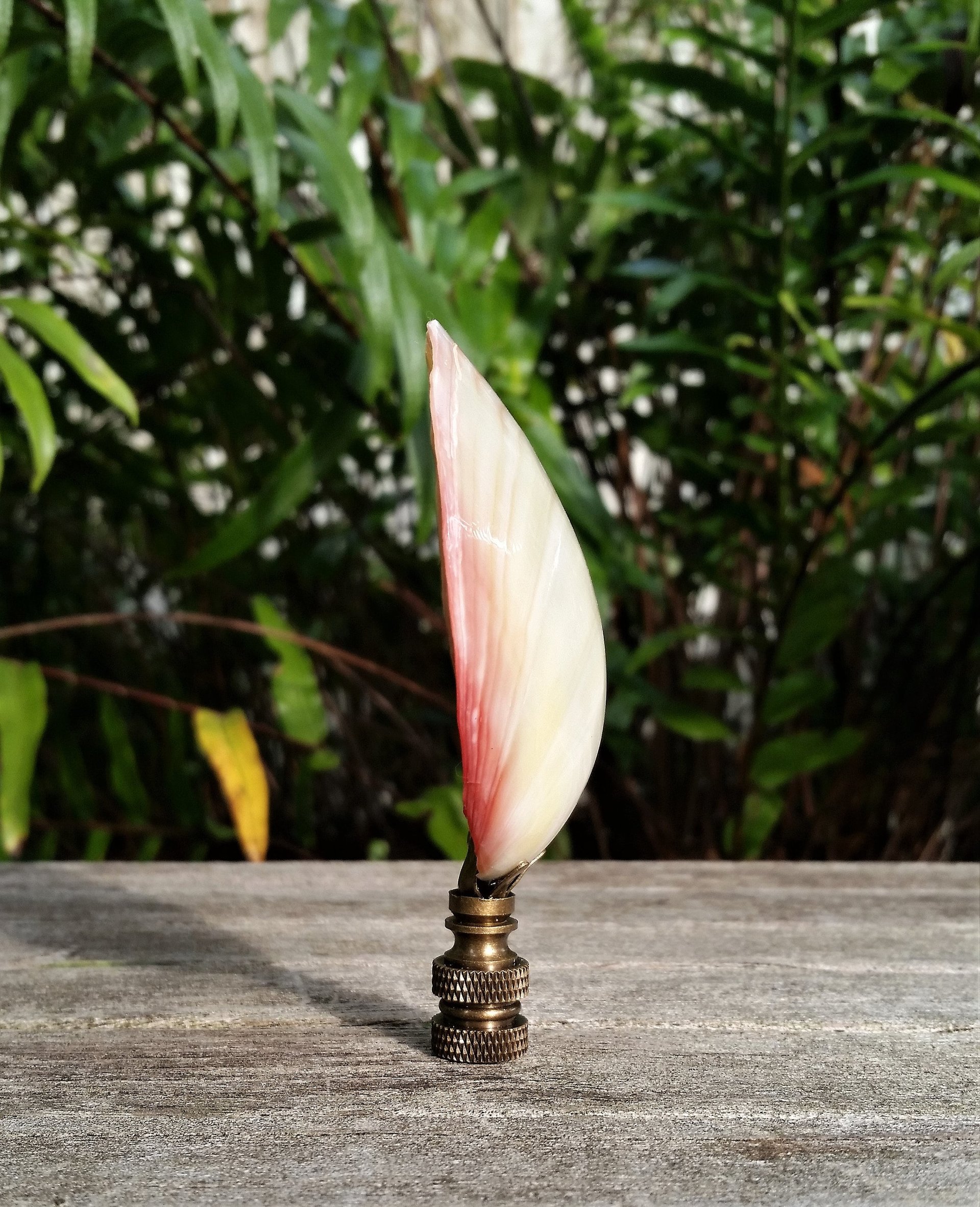 Large Sea Shell Lamp Finial, Pink Pearl