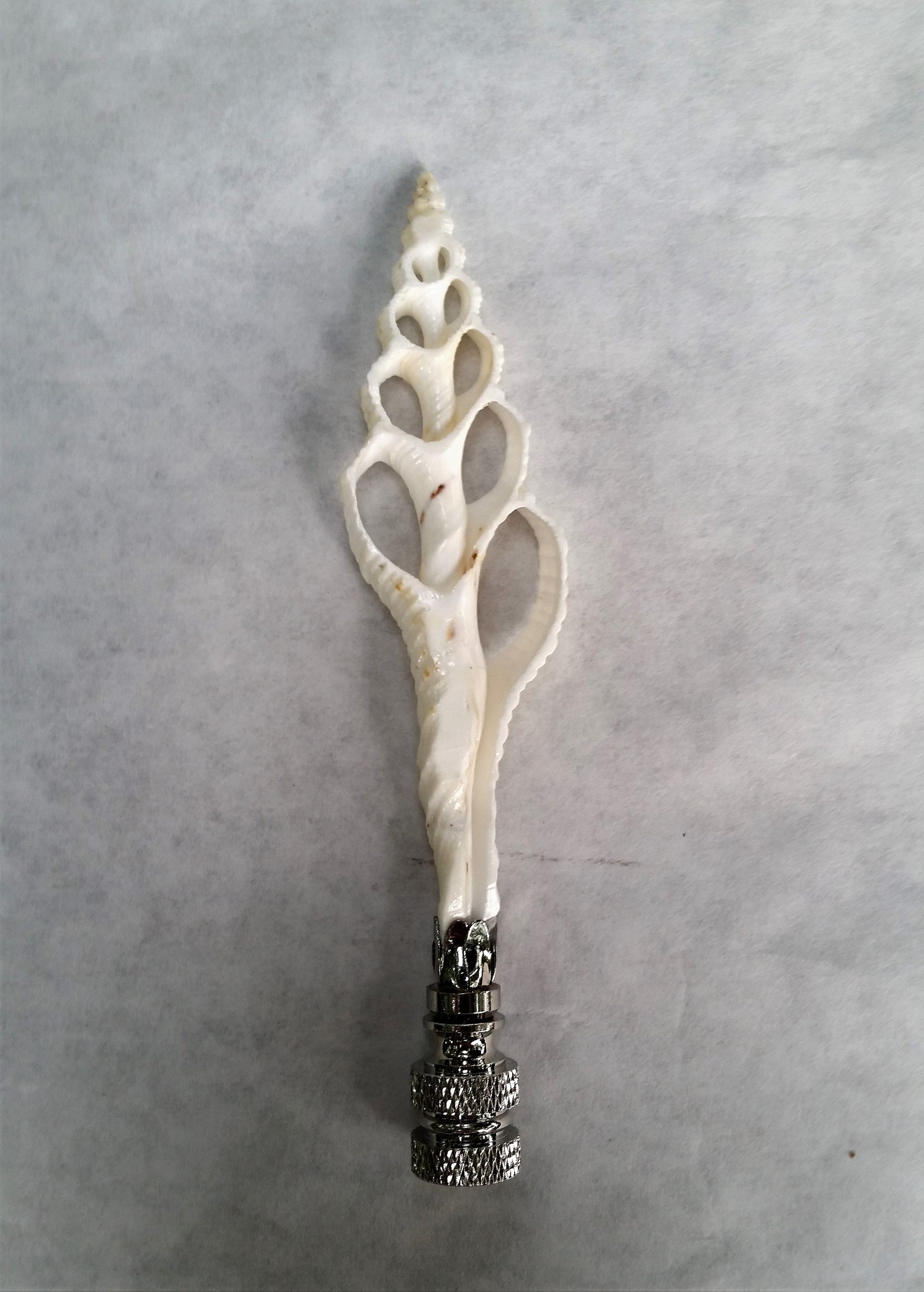 Sea Shell Lamp Finial, Tall Off White Spindle