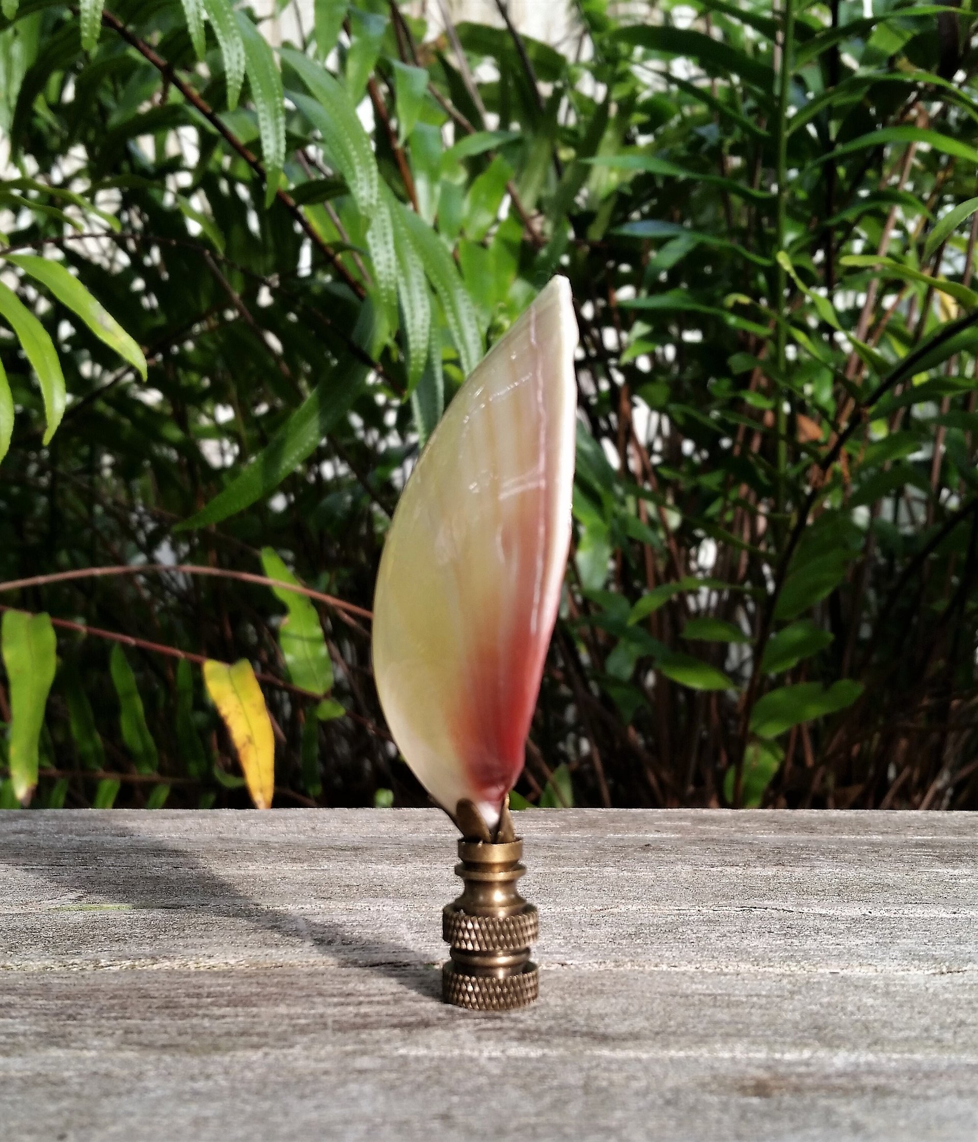 Large Sea Shell Lamp Finial, Pink Pearl