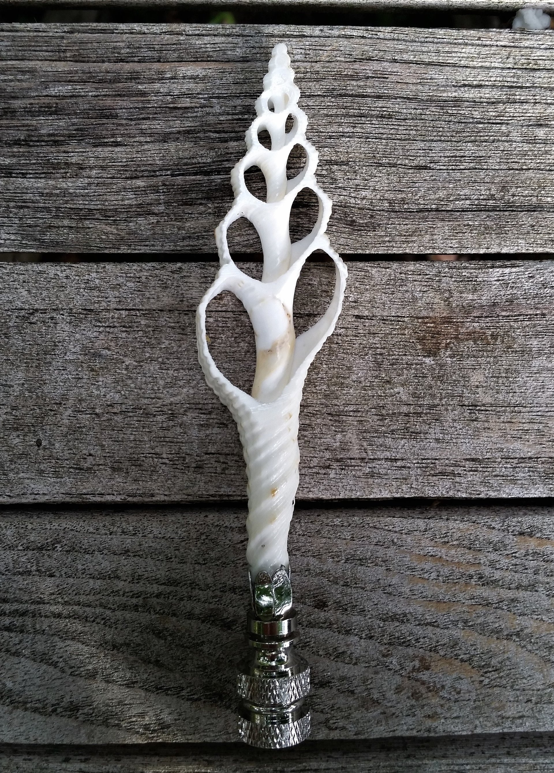 Sea Shell Lamp Finial, Tall Off White Spindle