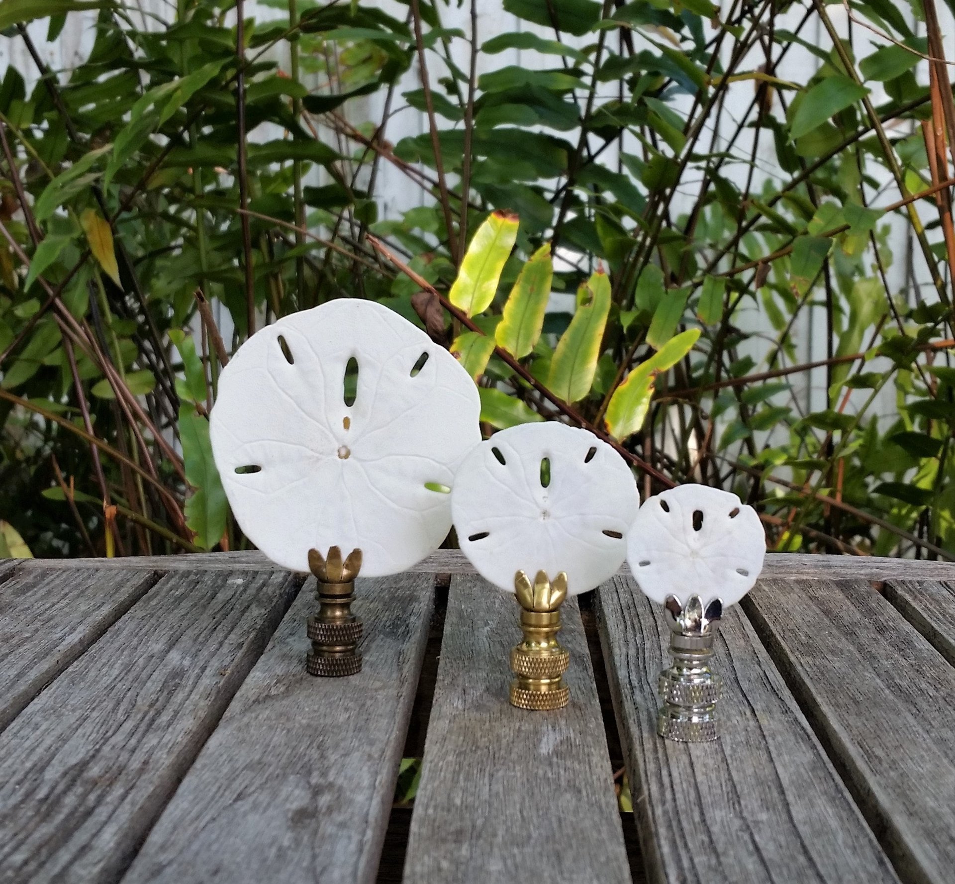 Sand Dollar Lamp Finial, Various Sizes