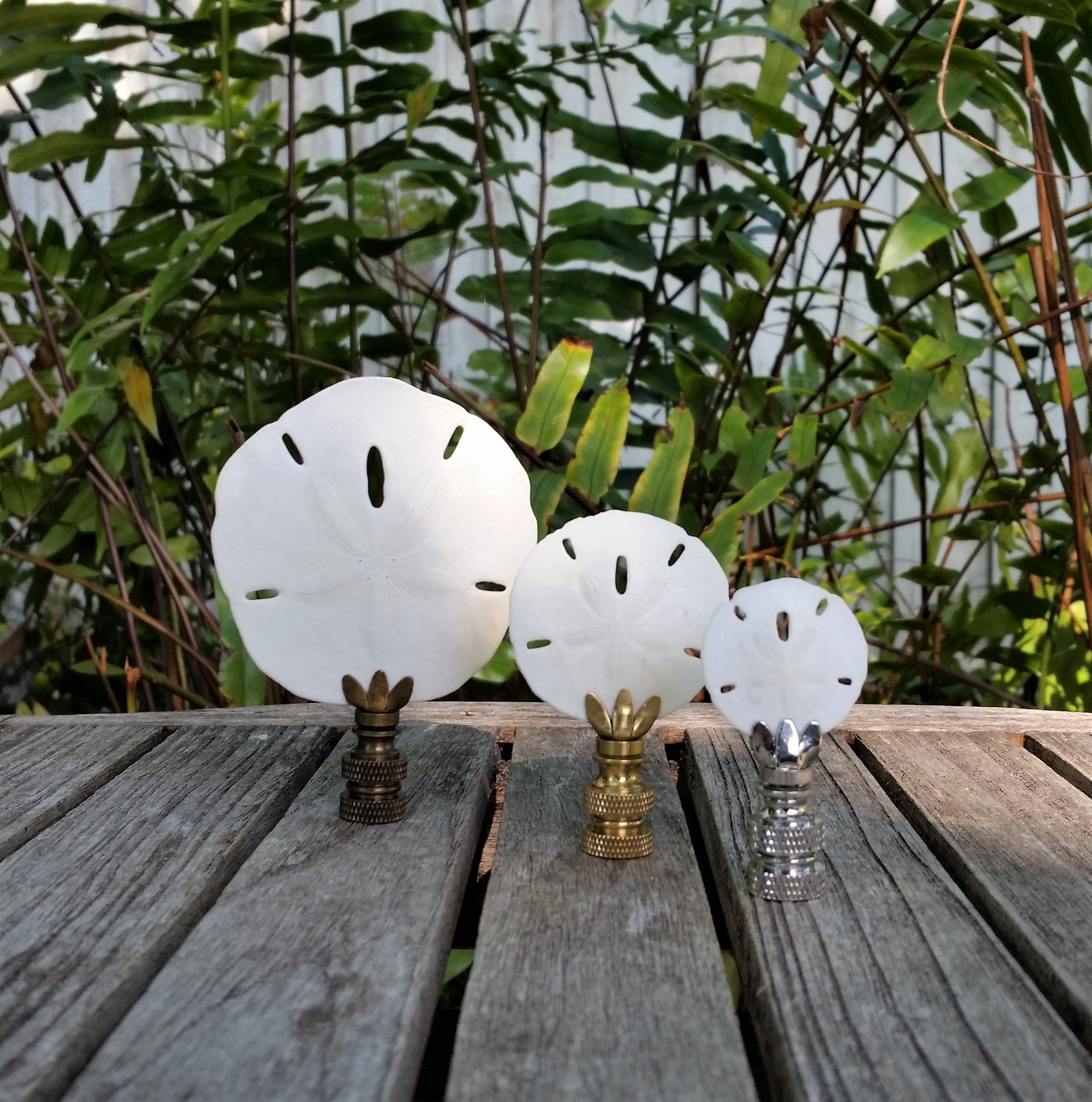 Sand Dollar Lamp Finial, Various Sizes