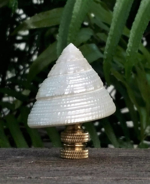 Sea Shell Lamp Finial, Pearl White