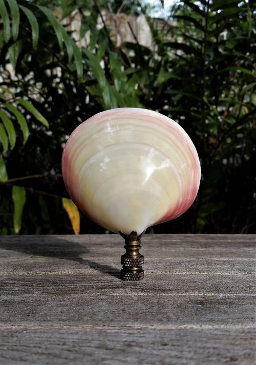 Large Sea Shell Lamp Finial, Pink Pearl